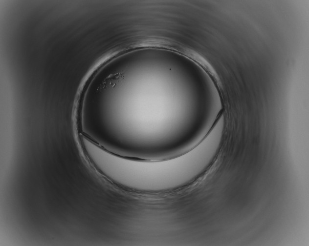 X0000100501138200806131431