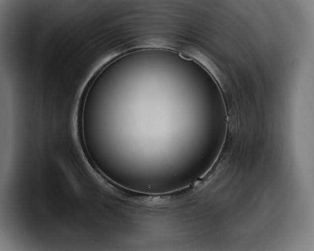 X0000100501139200806131431