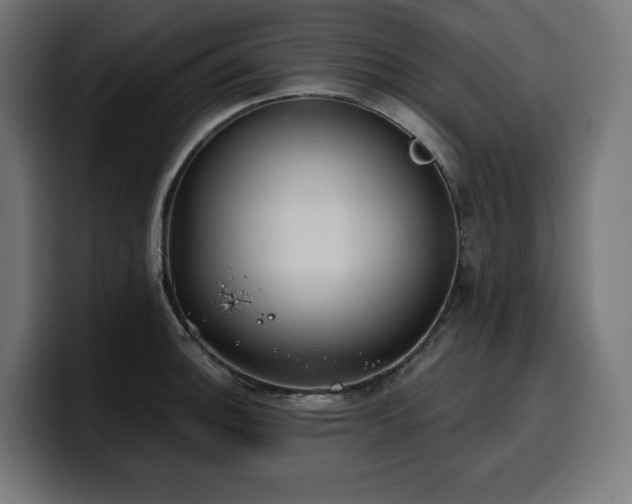 X0000100501140200806131431