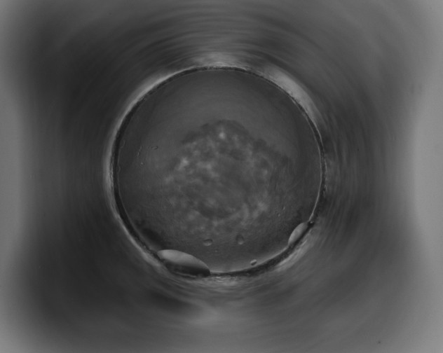 X0000100501141200806131431