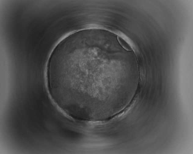 X0000100501142200806131431