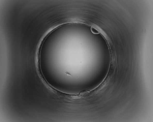 X0000100501144200806131431