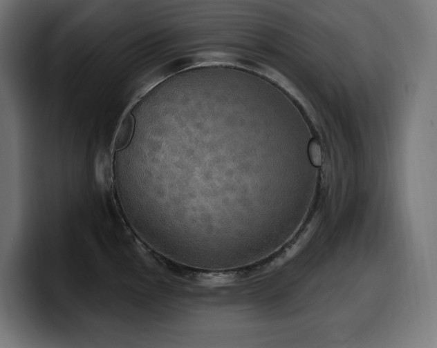 X0000100501145200806131431