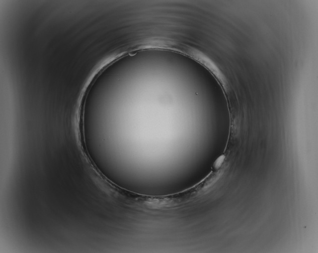 X0000100501146200806131431