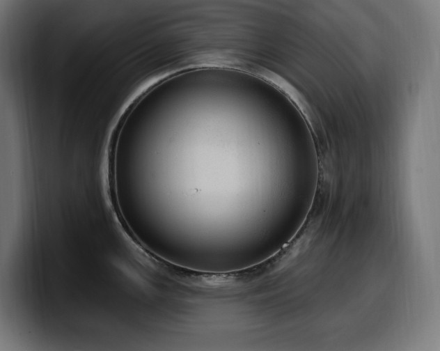 X0000100501147200806131431