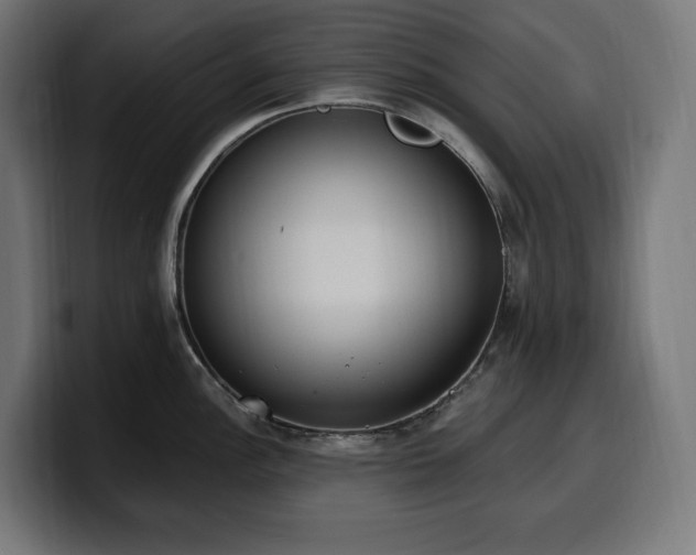 X0000100501148200806131431