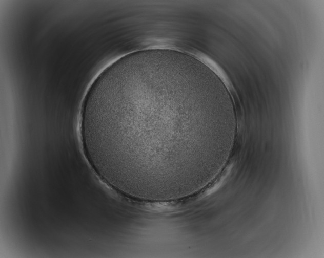 X0000100501149200806131431