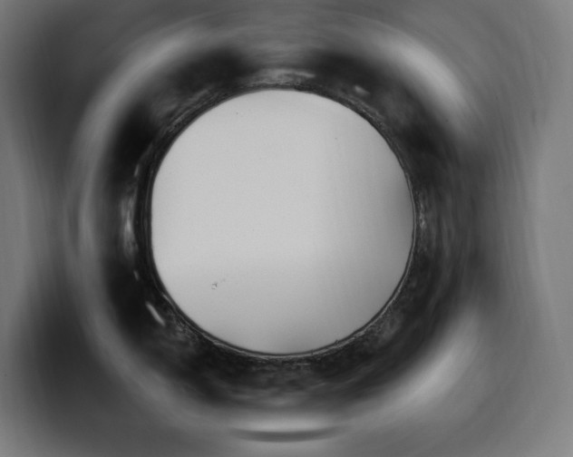 X0000100501150200806131431