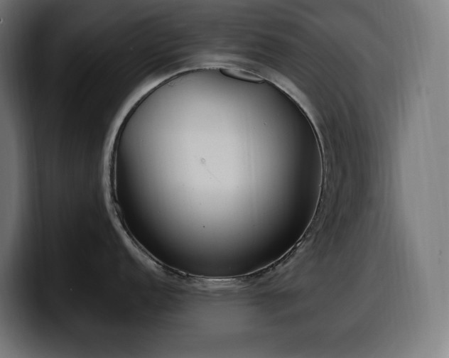 X0000100501152200806131431