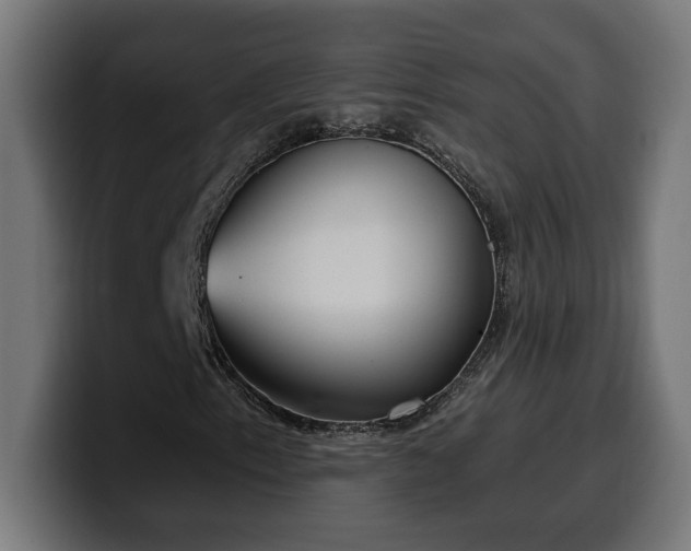 X0000100501153200806131431