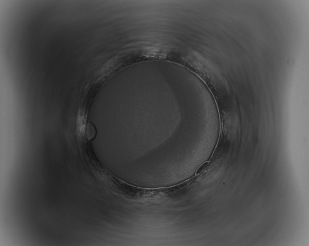 X0000100501154200806131431