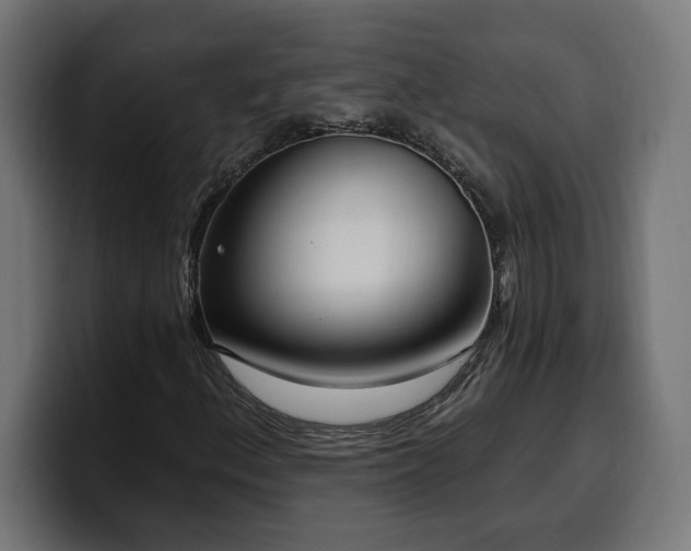 X0000100501156200806131431