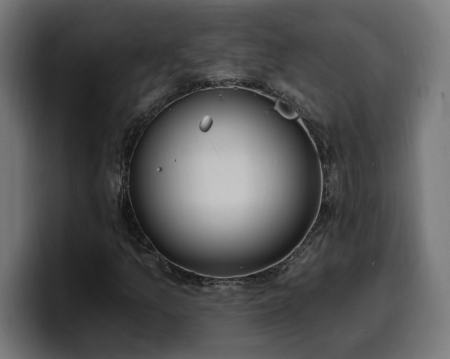 X0000100501157200806131431