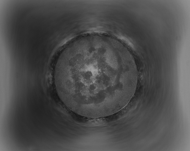 X0000100501159200806131430