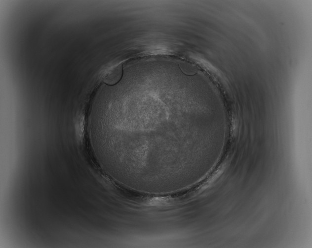 X0000100501161200806131430