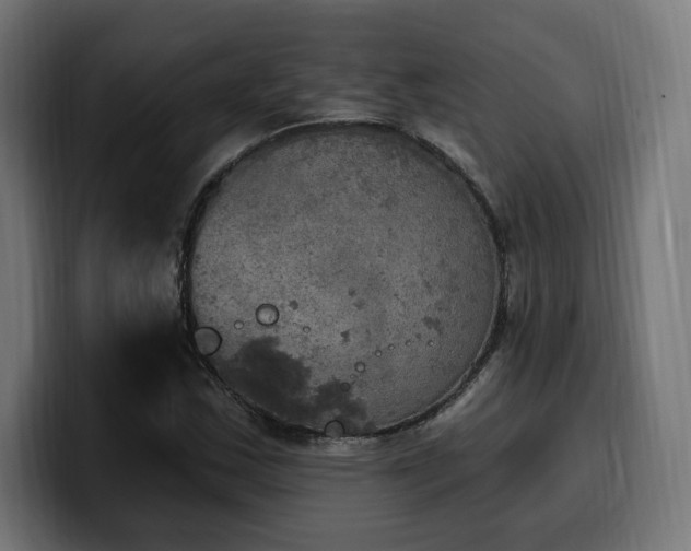 X0000100501163200806131430