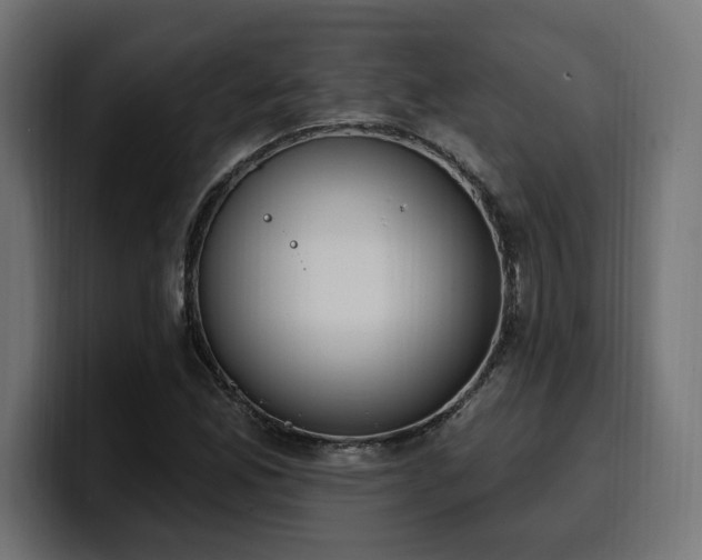 X0000100501165200806131430