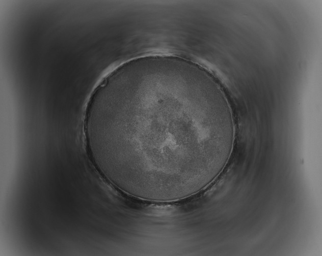 X0000100501168200806131430