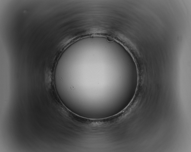 X0000100501169200806131430