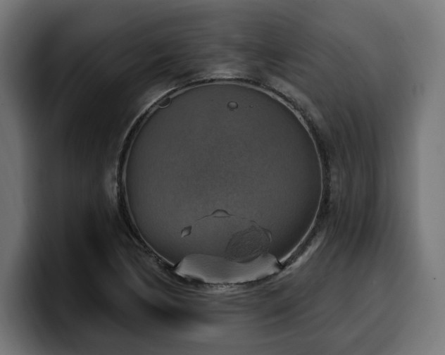 X0000100501170200806131430