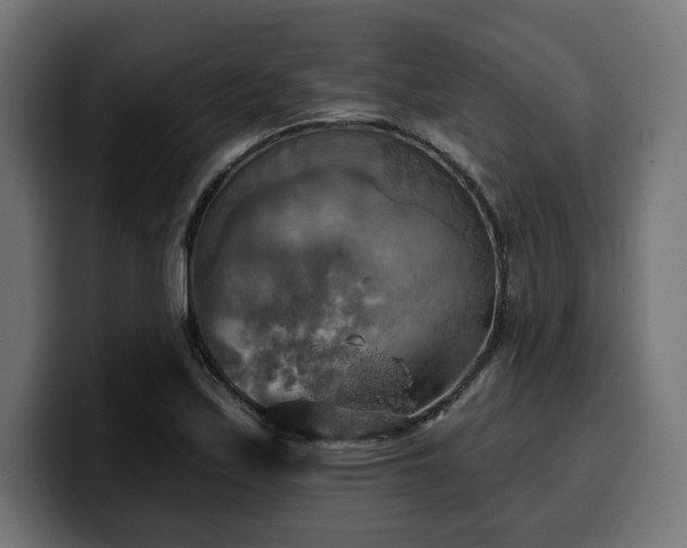 X0000100501171200806131430