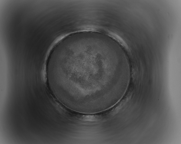 X0000100501172200806131430