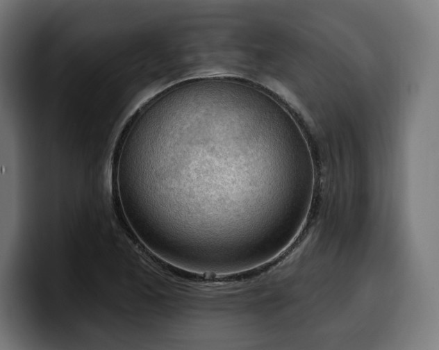 X0000100501173200806131430