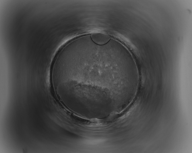 X0000100501174200806131430