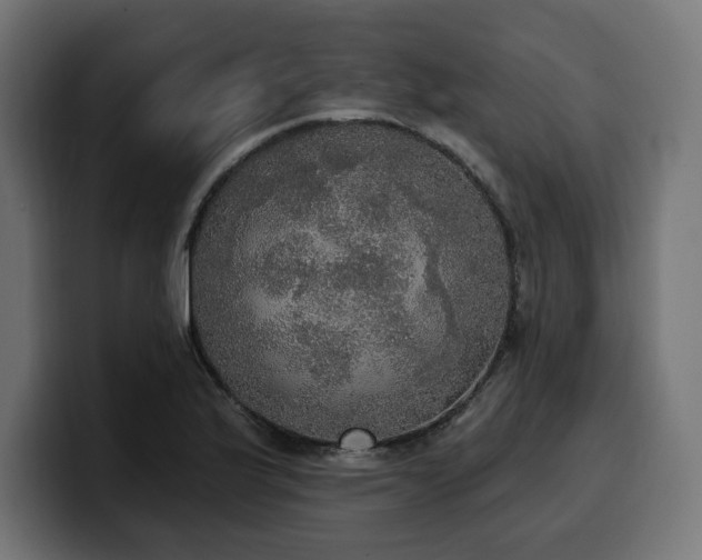 X0000100501175200806131430