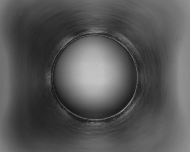 X0000100501177200806131430