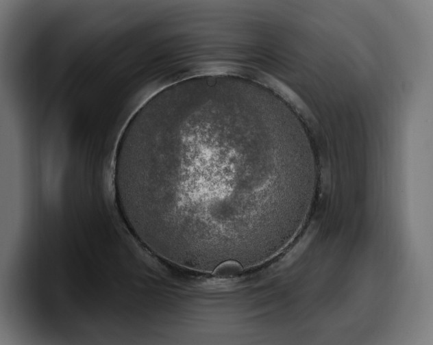 X0000100501178200806131430