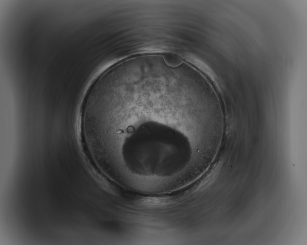 X0000100501179200806131430