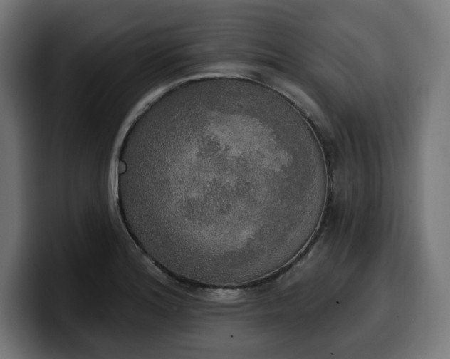 X0000100501180200806131430