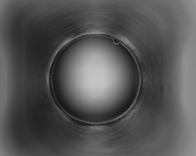 X0000100501181200806131430