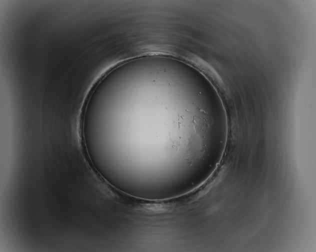 X0000100501182200806131430