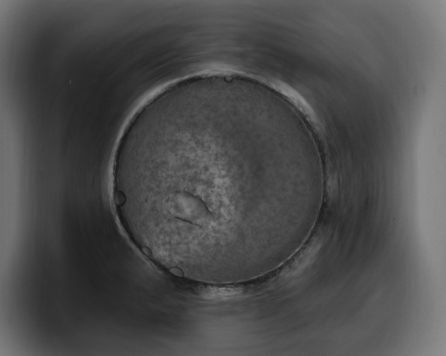 X0000100501183200806131430