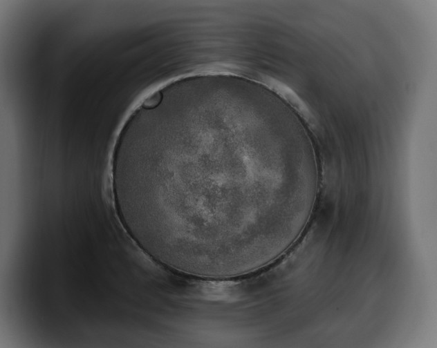 X0000100501184200806131430