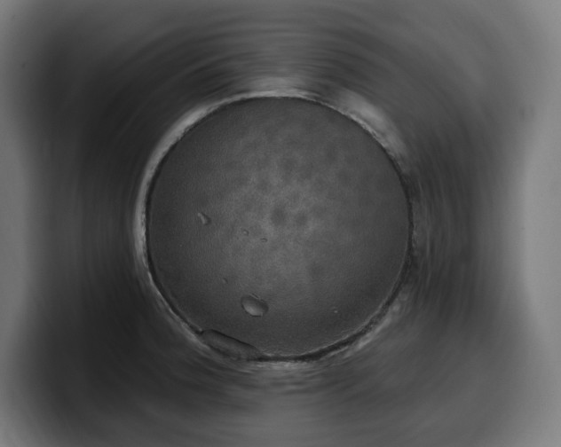 X0000100501188200806131430