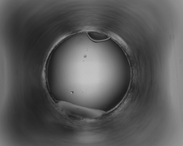 X0000100501190200806131430