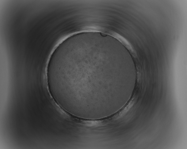 X0000100501192200806131430