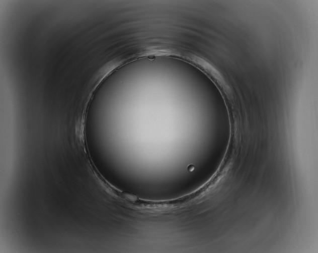 X0000100501193200806131430