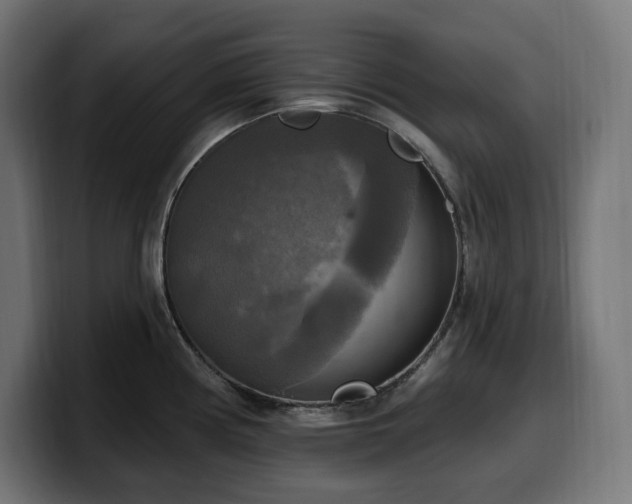 X0000100501194200806131430