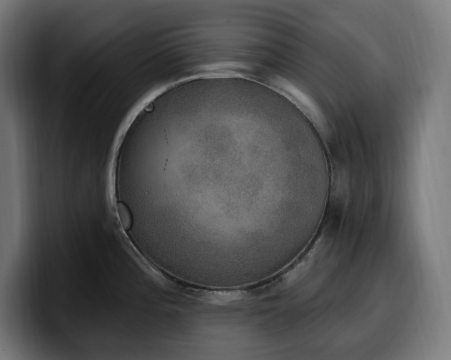 X0000100501196200806131430