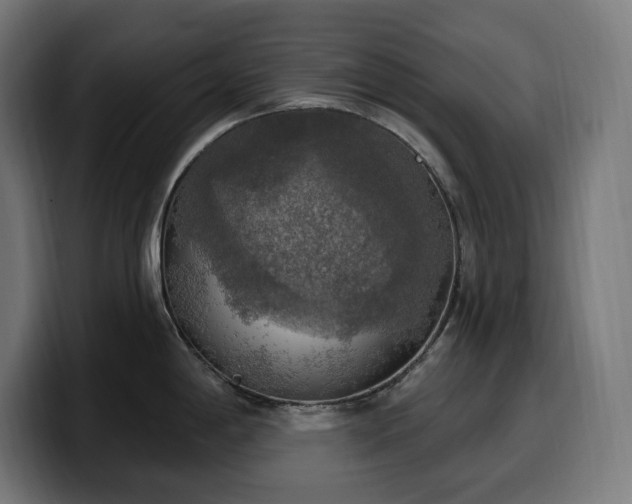 X0000100501198200806131430