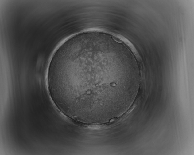 X0000100501199200806131430