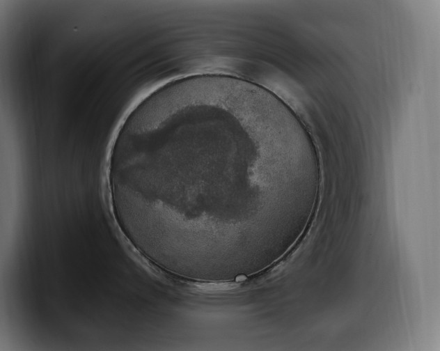 X0000100501200200806131430