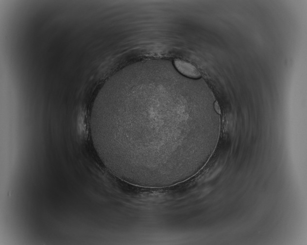 X0000100501202200806131429