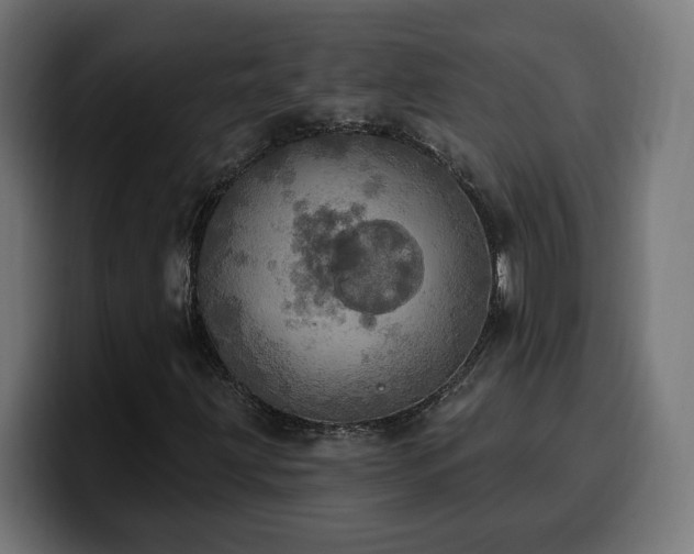 X0000100501203200806131429