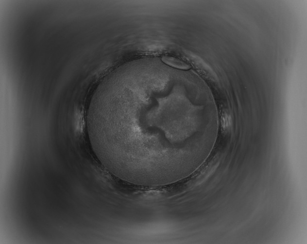 X0000100501204200806131429