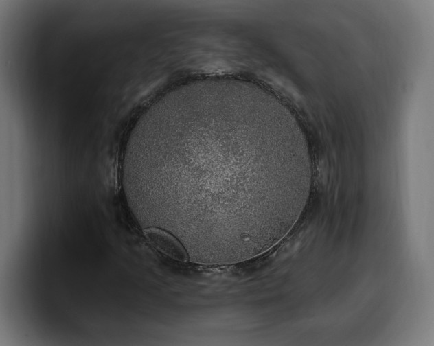 X0000100501205200806131429